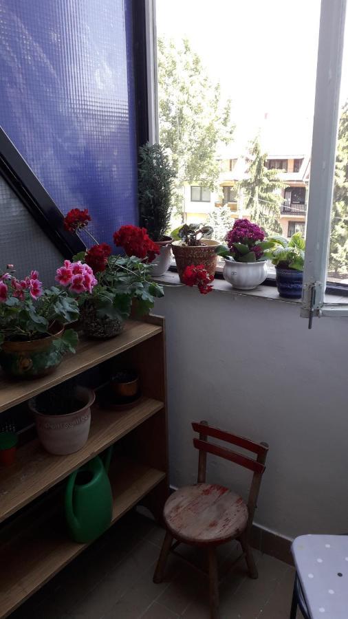 Annika Apartman Эгер Экстерьер фото